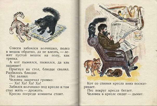 Волчишко текст распечатать. Е чарушин волчишко. иллюстрации к рассказу чарушина волчишко.
