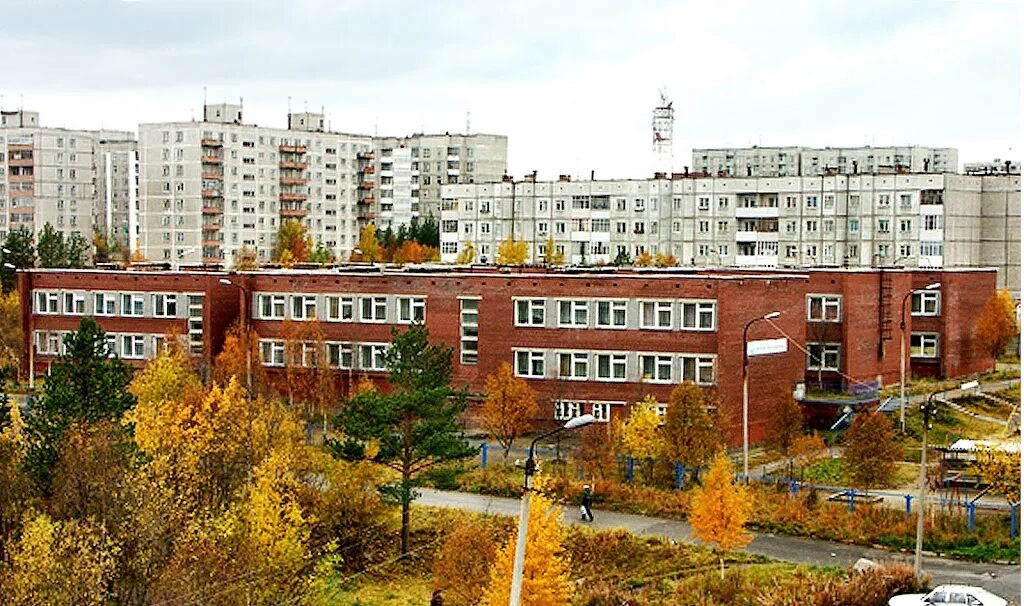 Детский сад Золотая рыбка Оленегорск. Детский сад 15 Оленегорск. Золотая рыбка 15 Оленегорск. Школа 15 город Оленегорск Мурманская область. Оленегорск 6