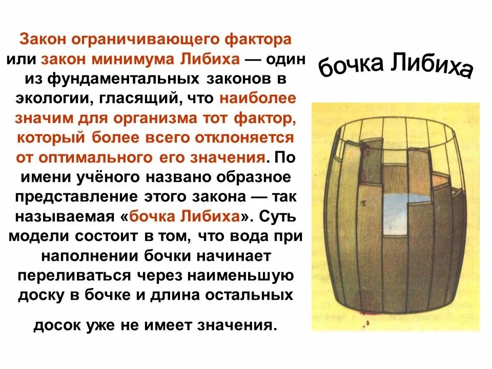 Понятие ограничивающего фактора