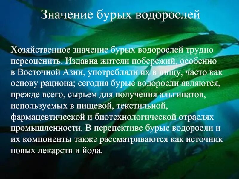 Какое значение ламинарии в жизни человека. Значение водорослей. Виды водорослей и их практическое значение. Роль бурых водорослей в жизни человека. Значение бурых водорослей.