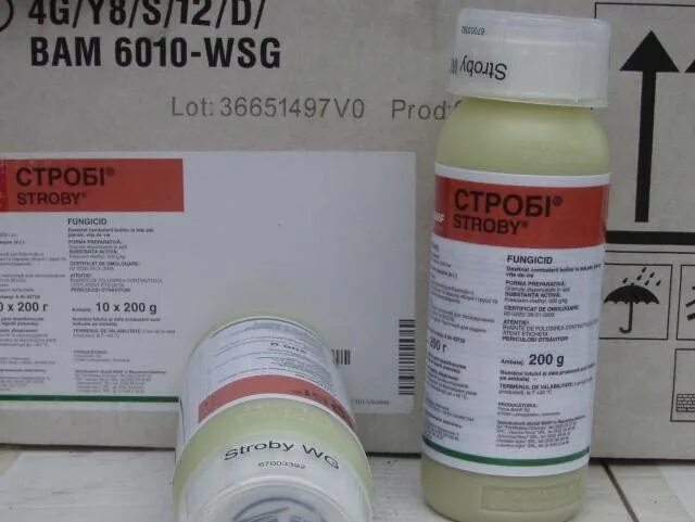 Строби форум. Строби 2гр. фунгицид строби (basf). строби 2 г. строби фунгицид фото.
