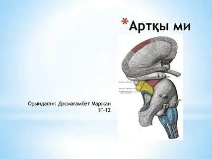 Үлкен сиқырлар