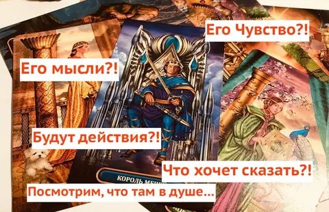 Таро мысли чувства мужчины