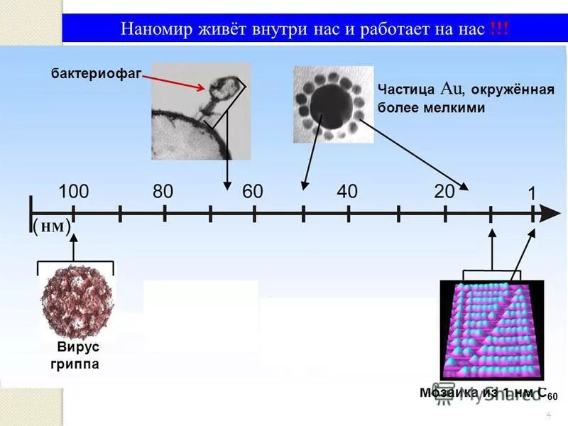 Наномашина том 1