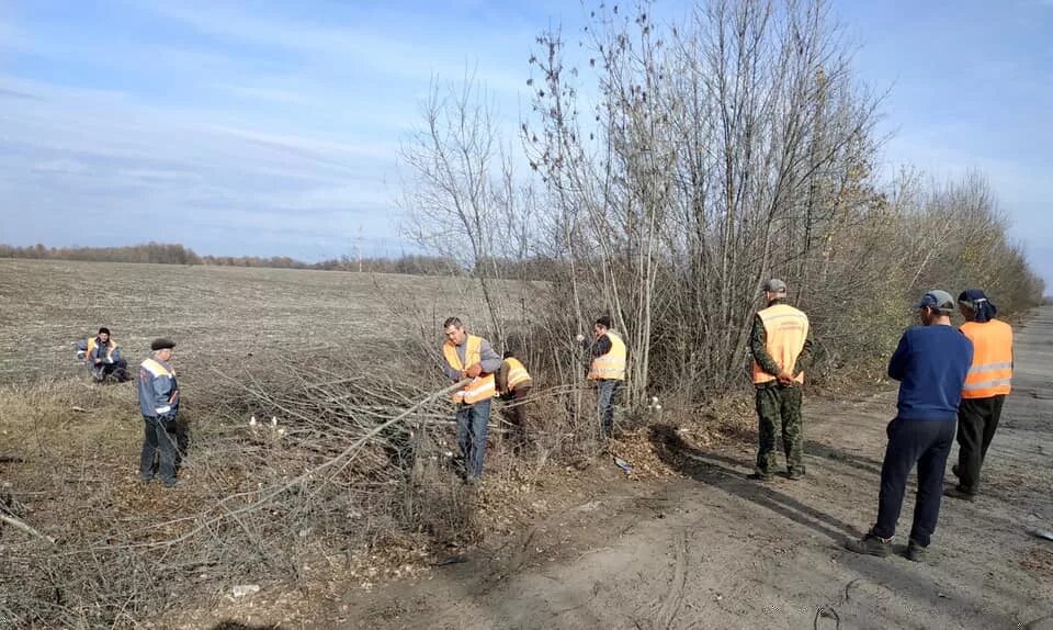 Погода орехово одесского района. Вырубка кустов вдоль дорог. Гольма Одесская область. Село Ухожаны Балтского района Одесской области. Украина Одесская область Балтский район село Обжилое.