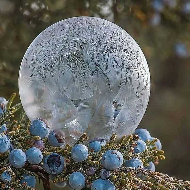 Зима это удивительное. Замерзший мыльный пузырь. Зимнее чудо. Шхеры сортавала зимой. Красивые места зима.