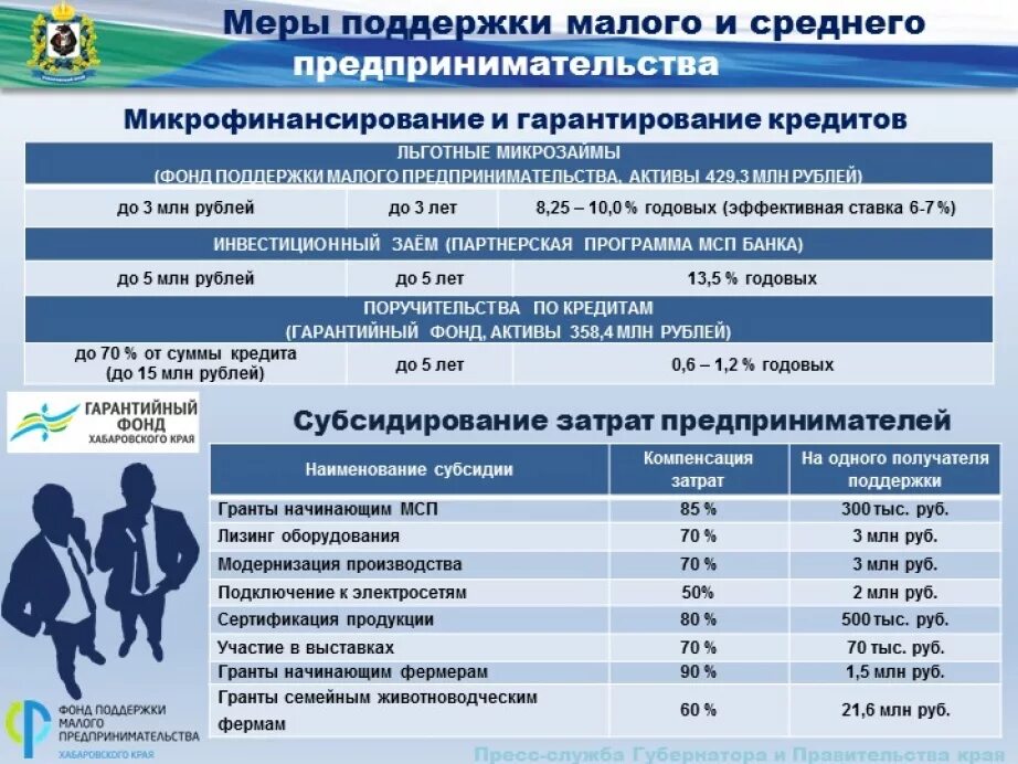 Поддержка среднего предпринимательства в рф. Программа поддержки малого предпринимательства. Меры поддержки малого предпринимательства. Государственные программы развития малого предпринимательства. Программы поддержки малого бизнеса в РФ.