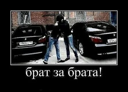Братишка друг