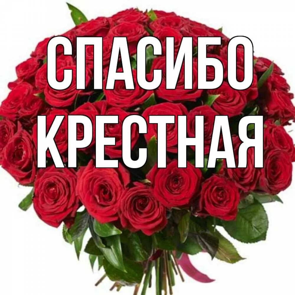 Спасибо крестная. Спасибо крестная. Спасибо крестная. Крëстная спасибо. Спасибо крестная.