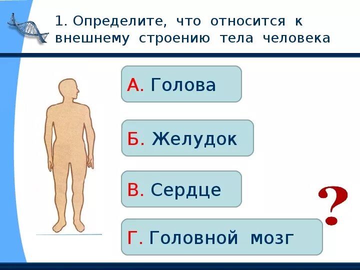 Окружающий мир 2 класс тела человека. Тест по теме строение человека 2 класс школа России. Организм человека 2 класс окружающий мир школа России. Строение тела человека. Строение тела человека 2 класс.