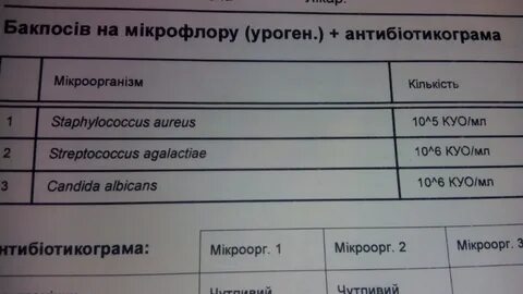 Стрептококк анализ