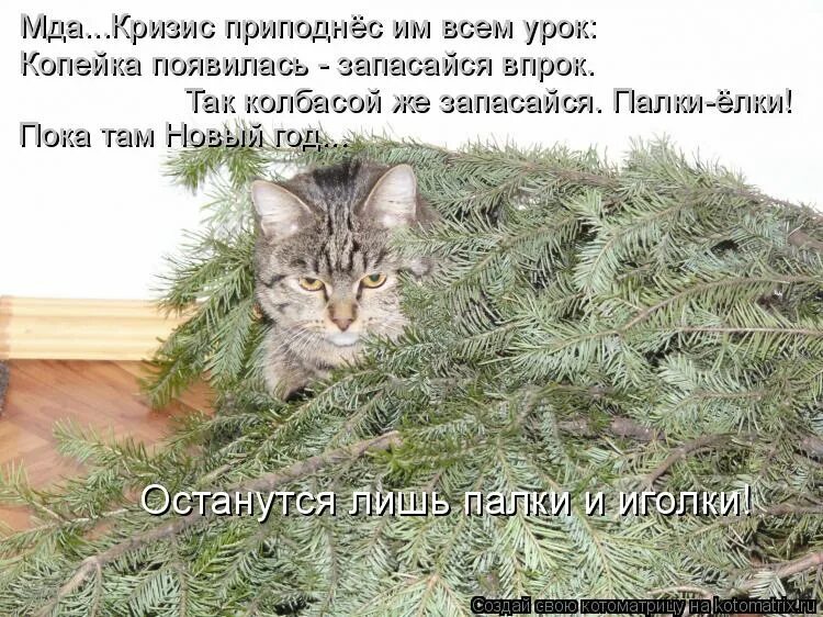 елка пвх с заснеженными кончиками.