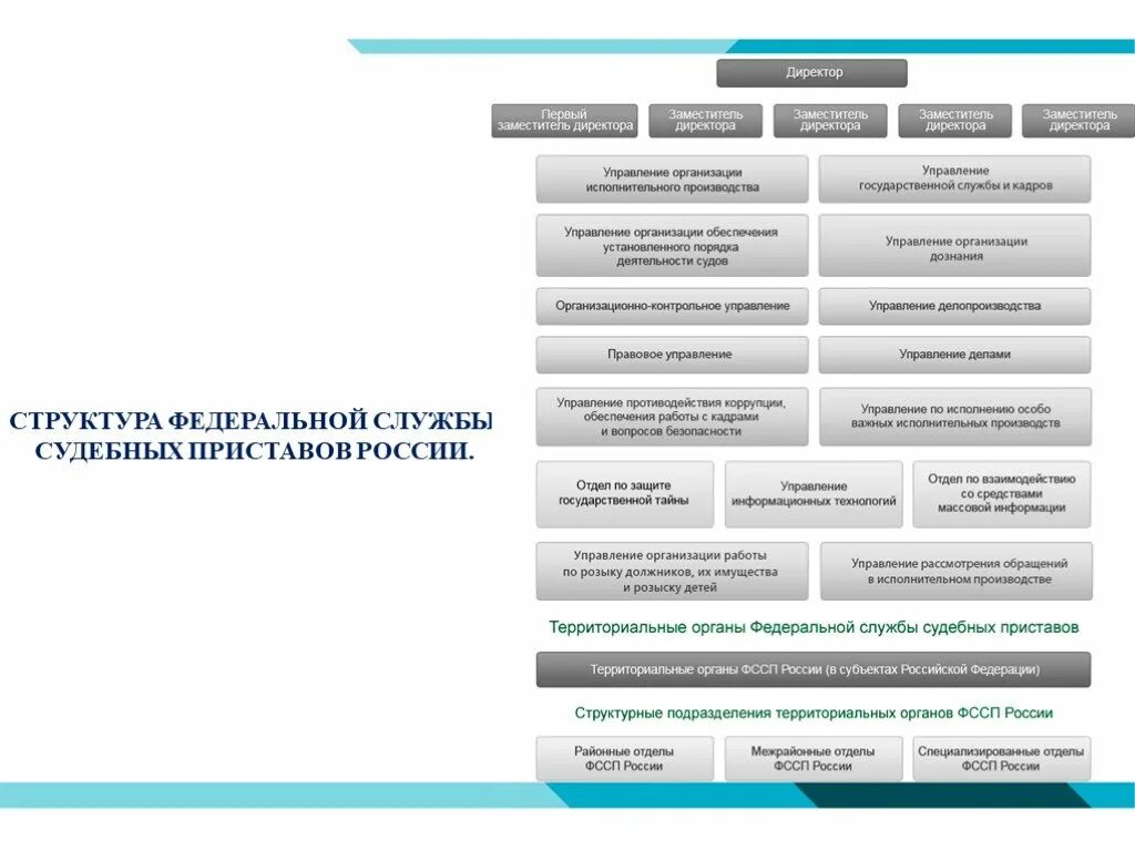 Организационная структура судебных приставов схема. Структура Федеральной службы судебных приставов схема. Организационная структура службы судебных приставов схема. Структура органов ФССП России схема. Должника и исполнительных органов