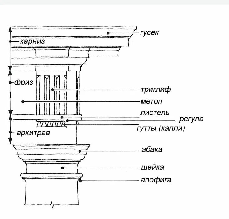 Строение капители дорического ордера. Архитрав дорического ордера. Греческий дорический ордер детали капители и антаблемента. Капитель дорического ордера чертеж. Карниз древняя греция