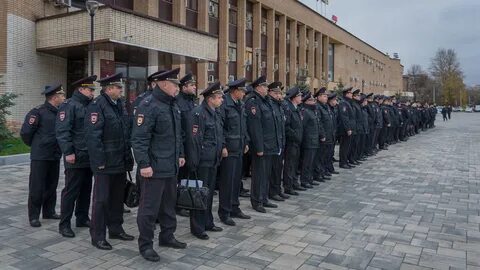 Полиция домодедово