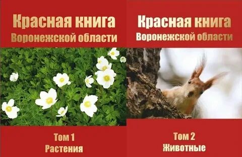 Животные из красной книги воронежской