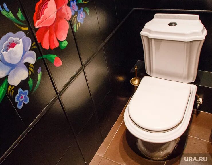 Туалет купить новосибирск. Цветные унитазы. Разноцветный туалет. Унитаз с росписью. Цветной унитаз в интерьере.
