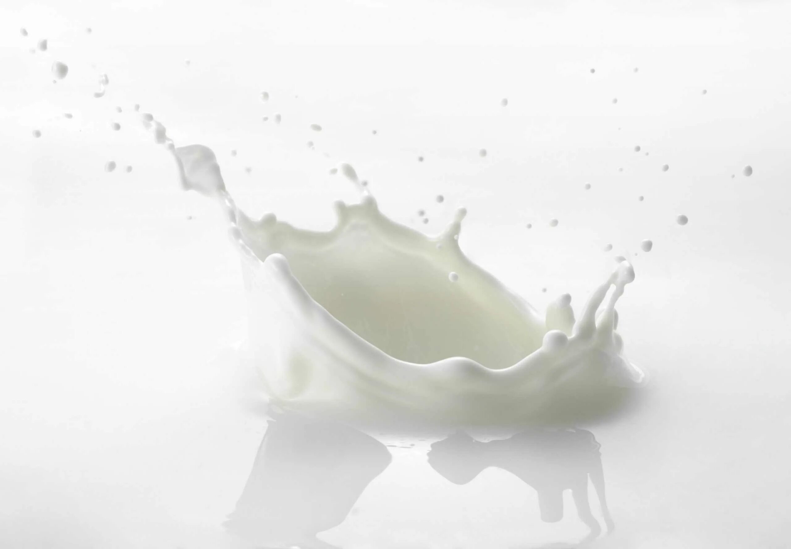 Milk extract. Белая жидкость. молоко шаттерсток. milk liquid. молоко жидкость фон.