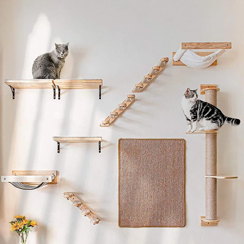 Купить кошку на стене. Полки для кошек. Настенные полки для котов. Настенная лестница для кошек. Полка настенная для кошек.