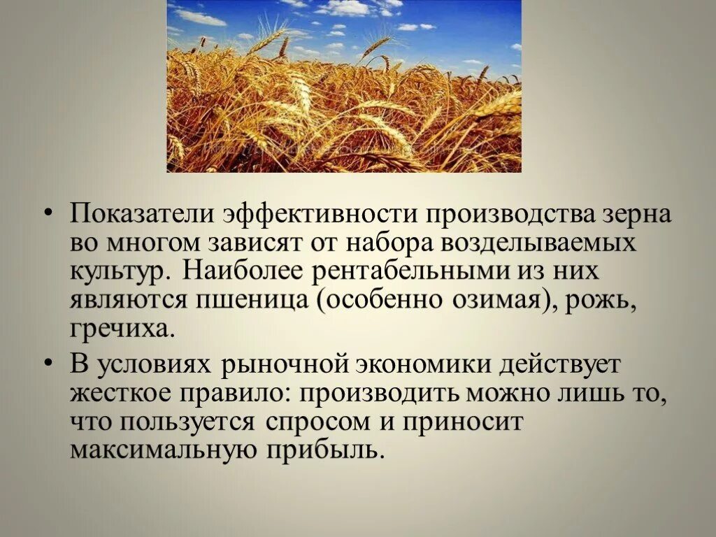 Укажите причины ослабления позиций животноводства на кубани. Растениеводство. Растениеводство презентация. Сообщение о сельскохозяйственной культуре. Сообщение о растениеводстве.