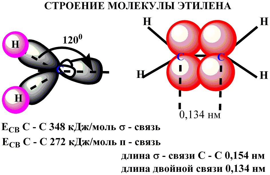 Этилен гибридизация атома. Пространственное строение молекул пропилена. Строение алкенов на примере этилена. Алкены строение на примере молекулы этилена. Строение алкенов на примере этена.
