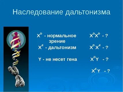 Установление наследования дальтонизма какой метод