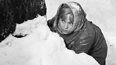Русский лес 1964