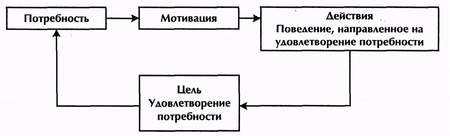 Мотивы стимулы потребности. Схема мотивации личности. Мотив и мотивация схема. Потребность мотив цель. Потребности и мотивация схема.