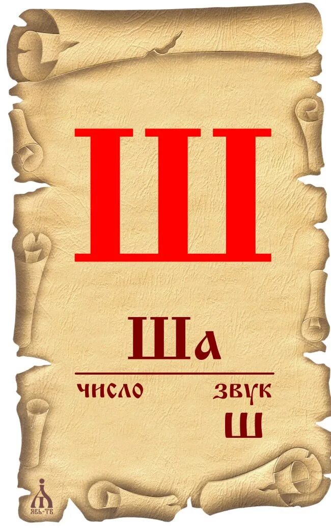 Ю ю ю ю 9 ж. Старославянская буква ш. Буква ш кириллица. Образ буквицы ша. Славянская буква ша.