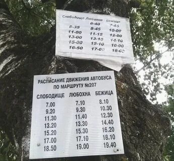 Расписание автобусов на четверг
