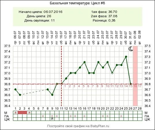 Базальная температура падает. 28 ДЦ БТ 36.6. 28 ДЦ БТ 36.8. 27 День цикла БТ упала. График базальной температуры без овуляции.