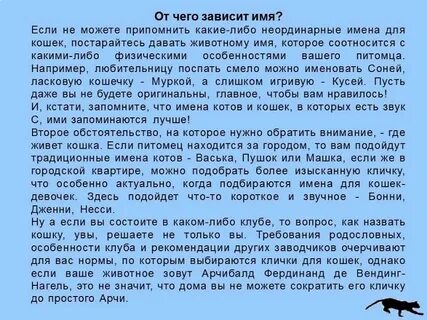 Ласковое имя для кота