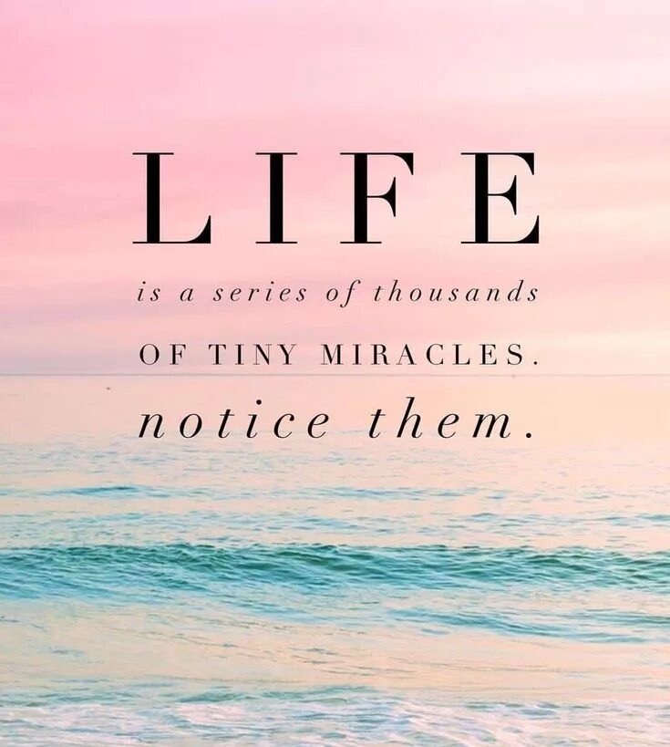 I love you so. I love you much. You only live once friendly. Live this so much. Прямой эфир ютуб.