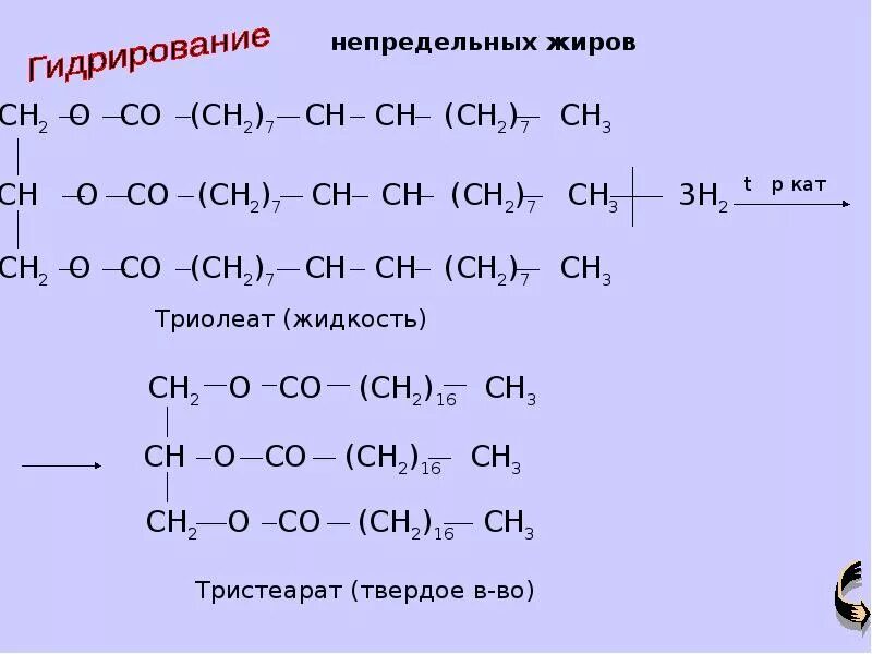 В результате гидрирования жиров. Триолеат. Триолеат глицерина. Гидрирование непредельных жиров. Гидрирование триолеата.