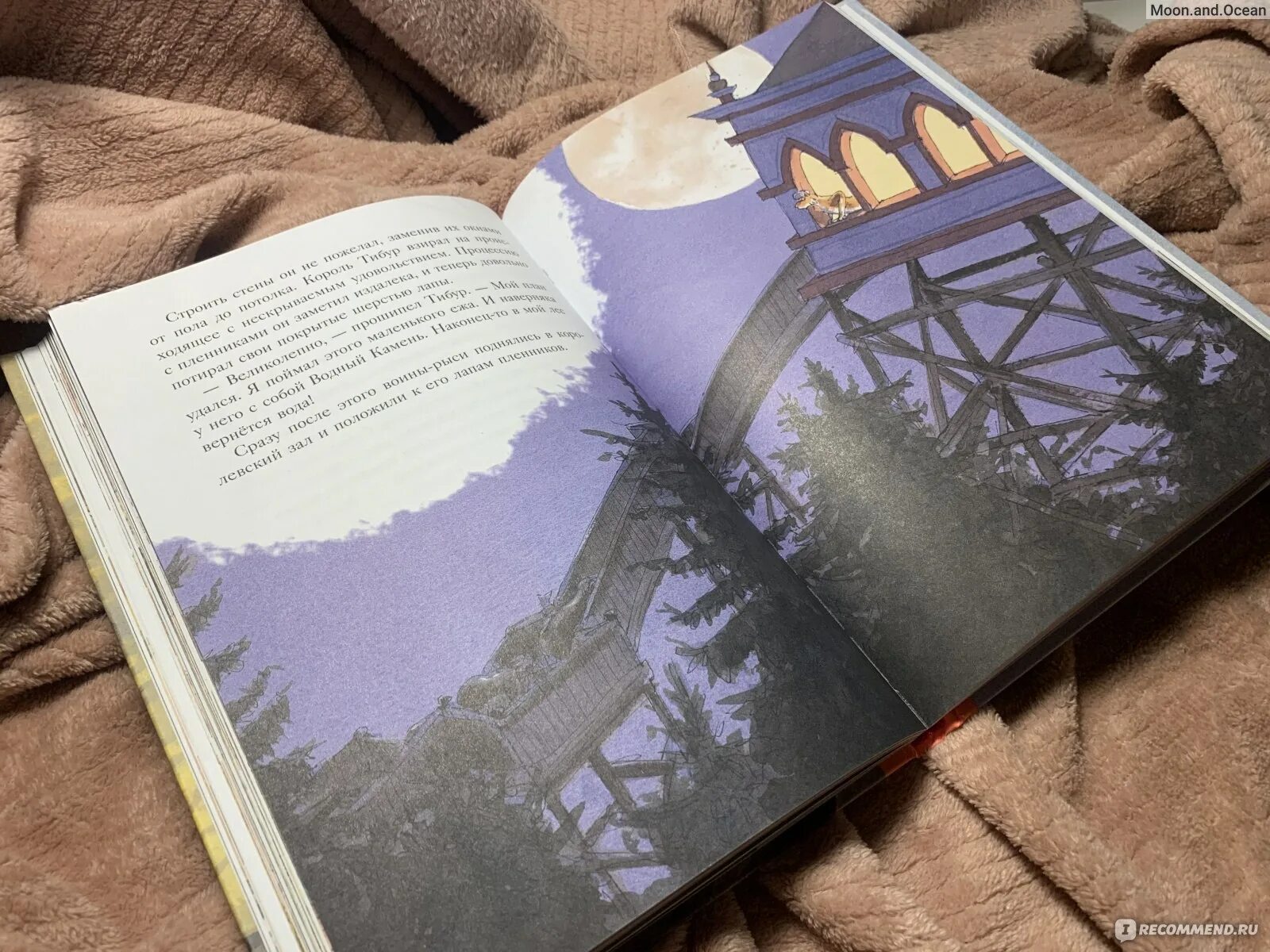 Книга в следующий раз