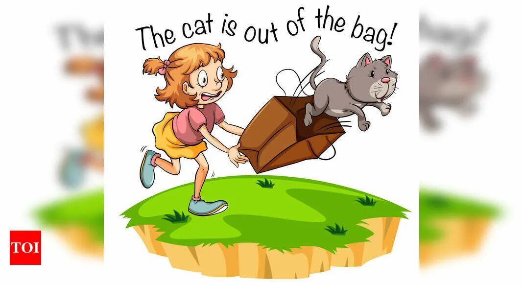 Is there a cat in the house. Let the cat out of the bag. let the cat out of the bag идиома. the cat is out of the bag. иллюстрация к идиоме.