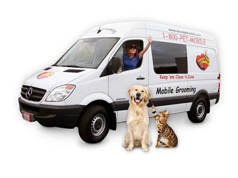 Pet mobile. Мобильный груминг. Мобильные питомцы. Pet-gob автомобиль. Mobile Dog Grooming service.