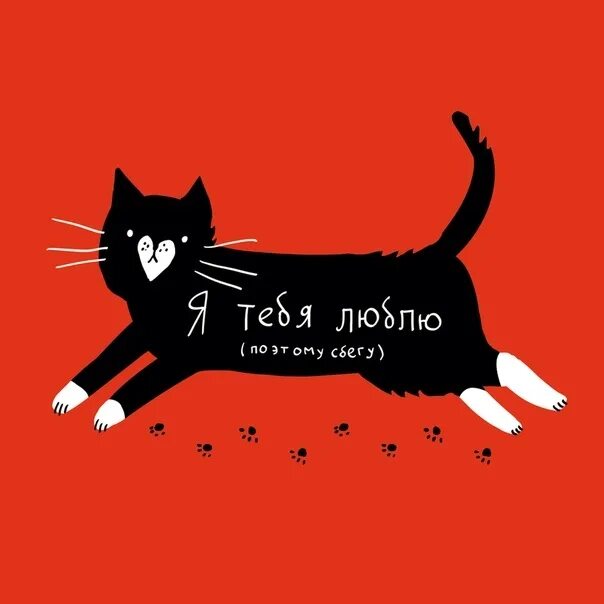 Спасибо за внимание енотик. Книга как жить с кошкой невротиком. Котик невротик картинки. Енотик находит друзей. Книга как жить с кошкой невротиком.