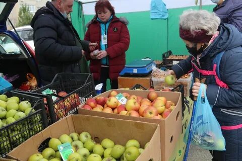 Ярмарка в обнинске в 2024 году расписание