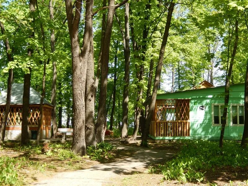 Турбаза березка тольятти. Турбаза березка сланцевского района. Турбаза березка ульяновск чердаклинский район. Турбаза березка нугуш. Турбаза березка донецк ростовская.