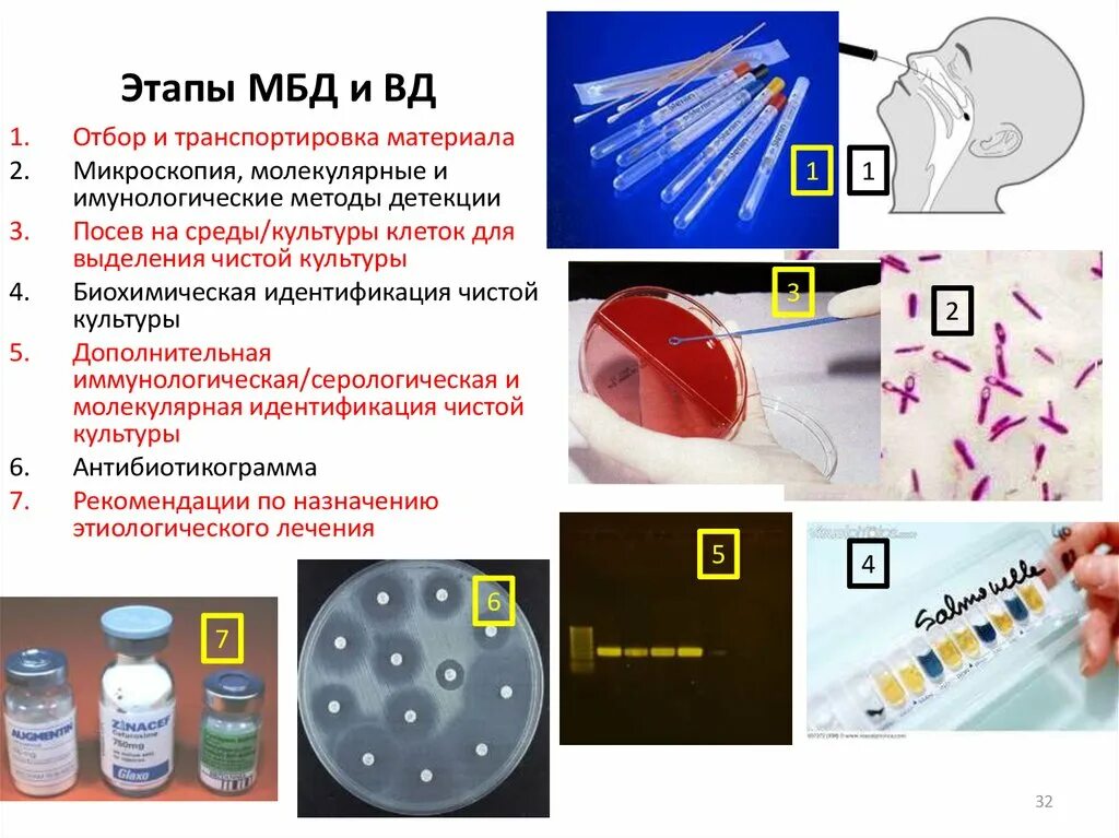 Оценка эффективности тест системы. Материалы для исследования в микробиологии. Методы микробиологических исследований. Способы идентификации микробиологические. Материал для микробиологических исследований.