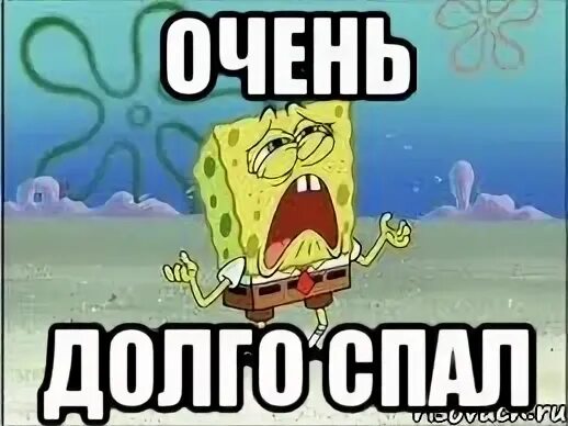 Долго спала