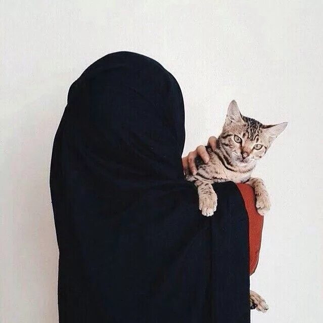 Мусульманский кот. Мусульманка с кошкой. Кот в хиджабе. Девушка в хиджабе с кошкой. Кошки и Левушка с хиджаб.