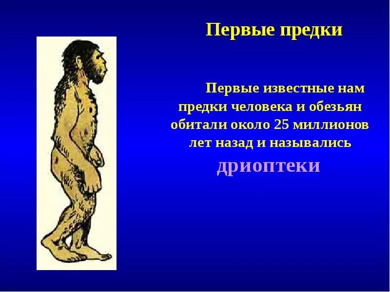 Сообщение на тему предки человека. На заре человечества люди. Доклад о предках. Сообщение о предшественников.