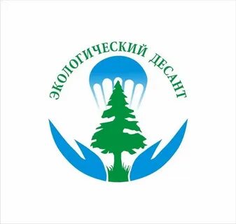 Чистый десант