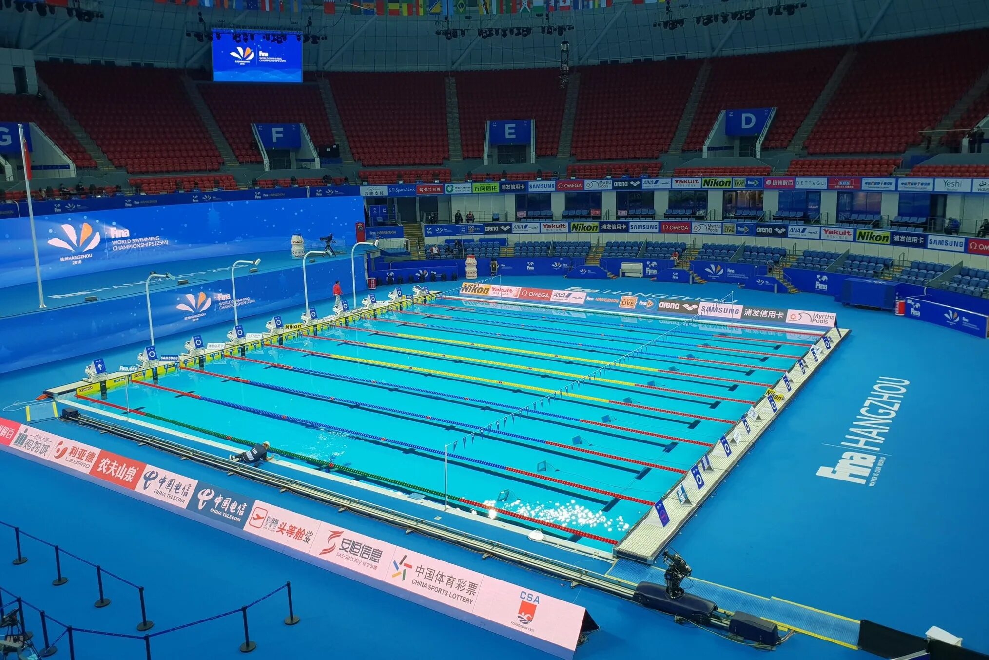 Чипионамира по плавониму. Чм по плаванию. Фото медленного плавания. Чм по плаванию. Чипионамира по плавониму.