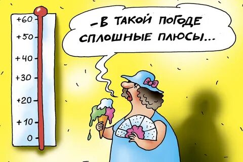 Жарко характеристика