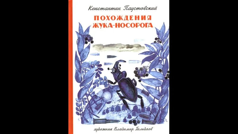 Жук носорог книга. К.Г.Паустовского "приключения жука - носорога". Паустовский похождения жука носорога. Жук – носорог (к. Паустовский «похождения жука-носорога»).