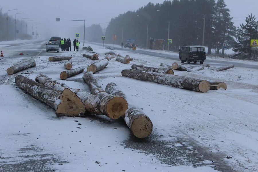 камаз с бревнами. фотон лесовоз с площадкой. разбитый лесовоз. учение в куженерском районе мчс. марий эл аварии погибли 15 микроавтобус лесовоз.