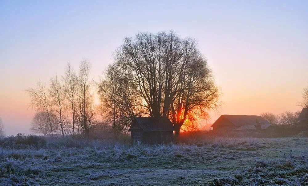 Морозное осеннее утро в деревне. Ноябрь в деревне. Ноябрьское утро в деревне. Морозное утро октября.